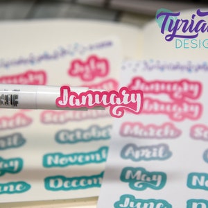 January - December Monthly Stickers for Planners and Journals. (Shown on a A5 Journal) - Summer Vibe colors CLEARANCE