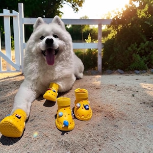 Hunde-Regenstiefel, wasserdichte Pfotenschützer, rutschfeste EVA-Schuhe, Gassi-Ausrüstung für kleine Haustiere