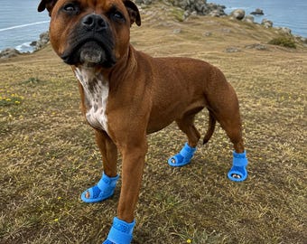 Oddychające, siateczkowe buty dla małych psów, letnie buty dla zwierząt, antypoślizgowe sandały dla psów, lekka ochrona łap na zewnątrz, regulowane buty dla szczeniąt