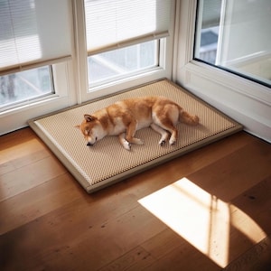 May include: A light brown Shiba Inu dog sleeping on a rectangular pet mat. The mat features a textured, grid-like surface with small, raised tan circular nodes arranged in a repeating pattern, framed by a solid light-coloured border.