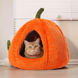 Pode incluir: Uma cama para animais de estimação em forma de abóbora laranja brilhante feita de tecido de veludo cotelê com um caule verde no topo. A cama apresenta uma abertura larga e arqueada que revela um gato castanho claro com olhos verdes.