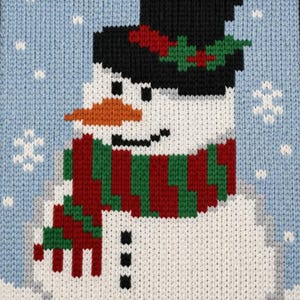 Può includere: Una coperta lavorata a maglia raffigurante un pupazzo di neve con cilindro nero, naso a carota arancione e sciarpa a righe rosse e verdi su sfondo azzurro con fiocchi di neve bianchi. In basso è presente il logo Cozy Chunky Blankets by Sharon.