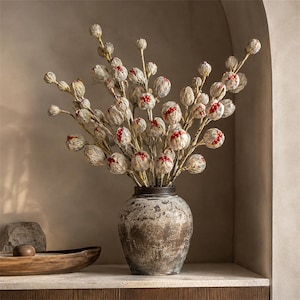 Op de afbeelding: Een rustieke, verweerde donkerbruine keramische vaas met een getextureerde, gevlekte afwerking bevat een groot arrangement van gedroogde botanische stengels. Elke stengel heeft meerdere ronde, papierachtige, lichtbeige zaaddozen met rode bessen.