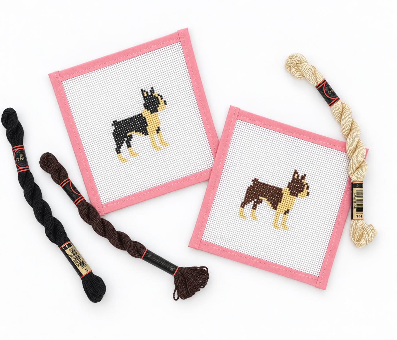 Boston Terrier