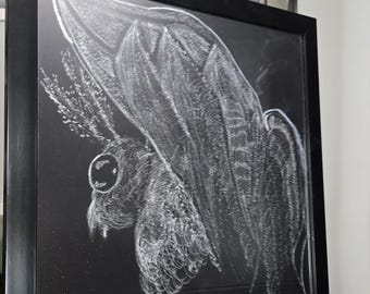 A fatal attraction— Hand-Etched Moth Mirror | 16x16 Original Glass Art