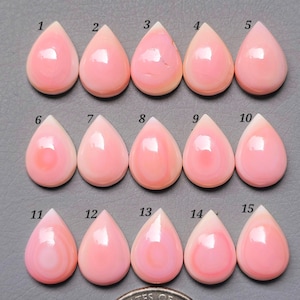 May include: Fifteen teardrop-shaped pink conch shell cabochons arranged in three rows of five, each numbered from 1 to 15. The stones exhibit smooth, polished surfaces with subtle concentric color variations and a glossy finish, shown with a US coin.