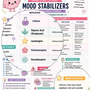 Psychiatric Mood Stabilizers Study Guide | PMHNP Pharmacology Cheat Sheet (Digital PDF)