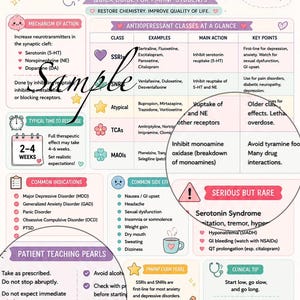 May include: A Mind Rx study tip sheet for PMHNP students titled Antidepressants. The infographic features a cartoon brain, tables detailing antidepressant classes like SSRIs and MAOIs, mechanism of action, common indications, side effects, and patient teaching pearls with pink and blue accents.