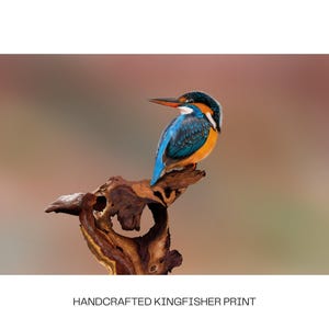 May include: A rectangular print featuring a kingfisher bird with vibrant blue and orange plumage perched on a piece of dark, weathered driftwood. The text HANDCRAFTED KINGFISHER PRINT is displayed in black capital letters at the bottom centre.