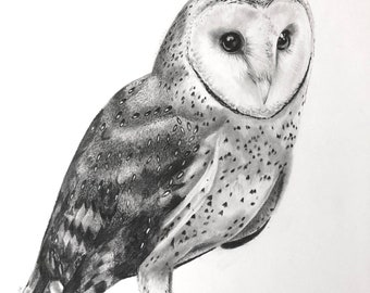 Barn owl greetings card. Owl card gift bird lover, original art barn owl drawing. Wildlife nature art, birthday thank you thinking of you