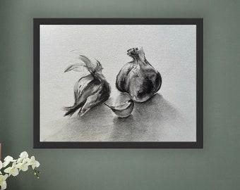May include: A black and white pencil drawing of two garlic bulbs on a white background. The garlic bulbs are drawn in detail, with the skin and cloves visible. The drawing is simple and elegant.