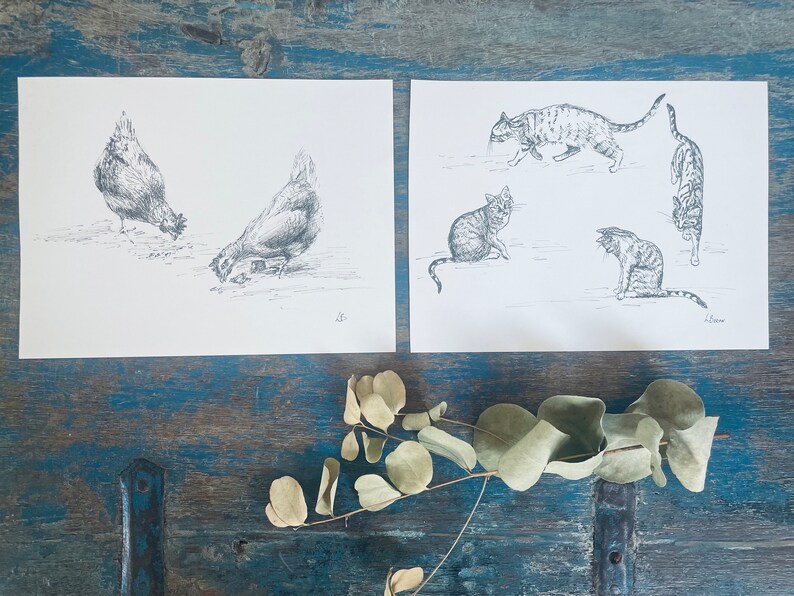 Chicken Shadow Ink Original Chicken Hen Ink Drawing, Farmhouse Decor Art - Etsy