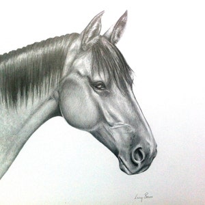 Horse Portrait, Personalised Horse Art, Animal Drawing print, Hand Drawn Memorial Drawing, Horse Lover Gift. New home art