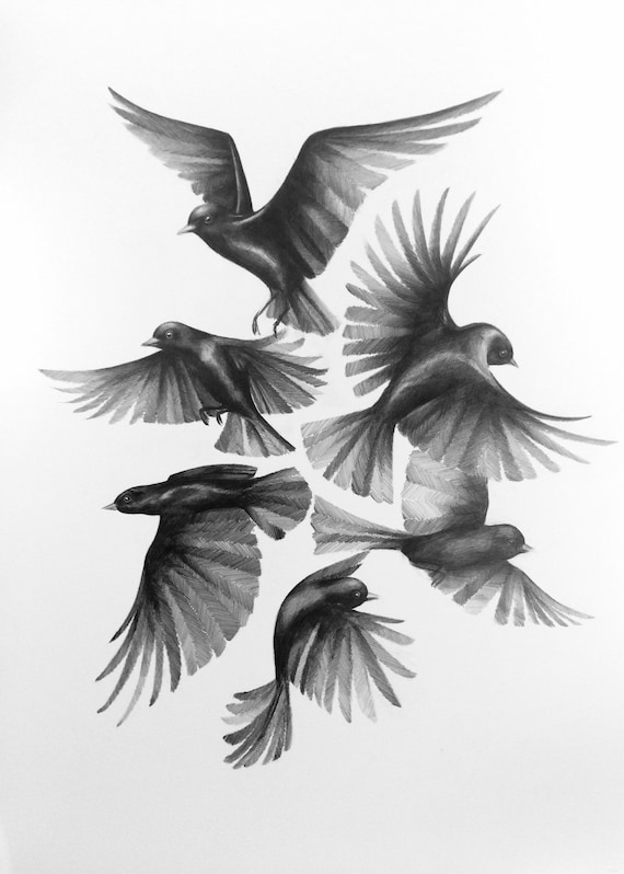 Dibujo original a lápiz de pájaros. Obra original. Ilustración - Etsy España