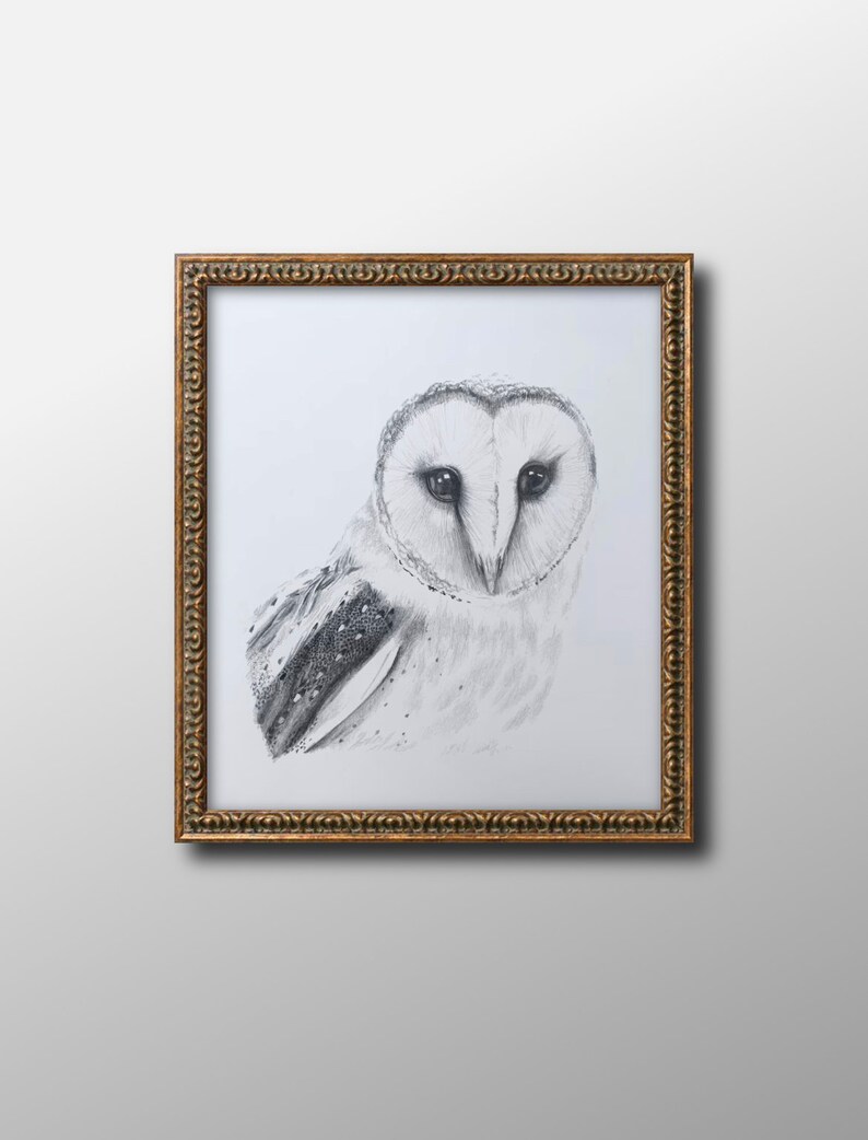 Barn Owl Colour Pencil Drawing Print – A4 / A3 Signed Limited Edition By UK Artist G Tymon, Realism Wildlife Art