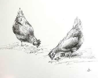 Original chicken hen ink Drawing Art. Wildlife art. Original unframed illustration. Rural decor art. Ink farm drawing, england wildlife art