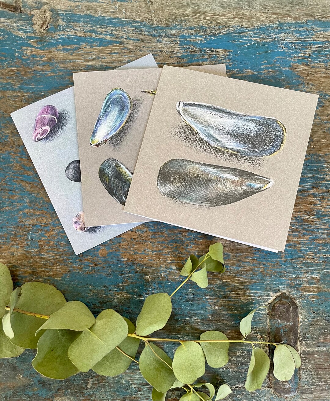 Seaside Cards Collection Hand Drawn Art, Shells Pebbles Muscles Beach ...