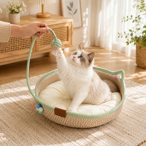 Puede incluir: Una cama redonda y tejida para gatos con un borde verde claro y un cojín suave de color crema. La cama cuenta con un asa alta y arqueada con un juguete de bola texturizada colgante. Un gato peludo está sentado dentro jugando.