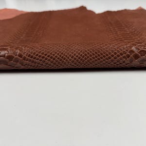 Könnte beinhalten: Ein Stück braunes Material mit einer strukturierten, geprägten Oberfläche, die das Aussehen von Schlangenschuppen nachahmt. Die Oberfläche zeigt ein sich wiederholendes, feinschuppiges Muster im Mittelteil und größere Schuppenformen an den Rändern.