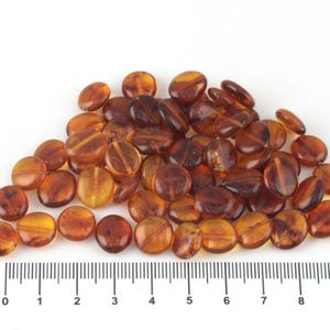 Può includere: Un mucchio di perline piatte e ovali color ambra. Le perline sono traslucide, con variazioni di colore dall'arancione chiaro al marrone scuro. Un righello sottostante mostra le misure in centimetri.