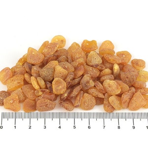 Natural Baltic Amber Beads Stones Pieces Nuggets Chips Honey Cognac Unpolished 100 units