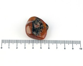 Pieza de piedra de ámbar báltico, piedra preciosa, cristal, natural, en bruto, ligeramente pulida, 7 gramos