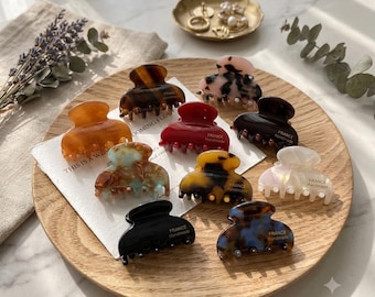 Mini Hair Claw Clips