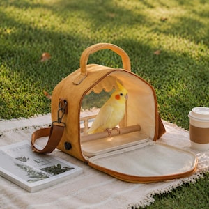 DuPont Paper Parrot Carrier Bag, Portable Bird Travel Backpack, Breathable Small Parrot Outdoor Bag