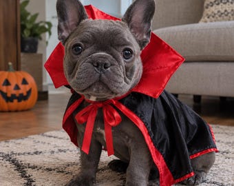Funny Halloween Pet Costume, Vampire Cape for Dogs and Cats, Cute Standing Dog Outfit, Spooky Cat Costume, Pet Halloween Clothes