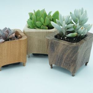 Kleiner Sukkulenten Topf. Sukkulenten Pflanzer, Kaktus Topf, Kaktus Pflanzer, Zimmerpflanzer, Miniatur Pflanzer. Kleiner Kaktus Übertopf, kleiner Blumentopf