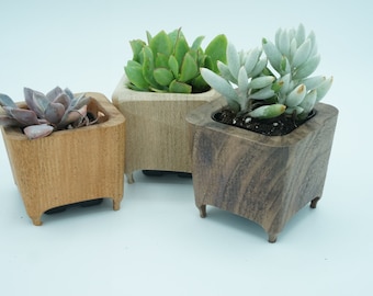 Hardwood Succulent Planter, Small Cactus Pot, Modern Wood Planter