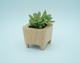 Small Softwood Succulent Pot, Handmade Cactus Planter