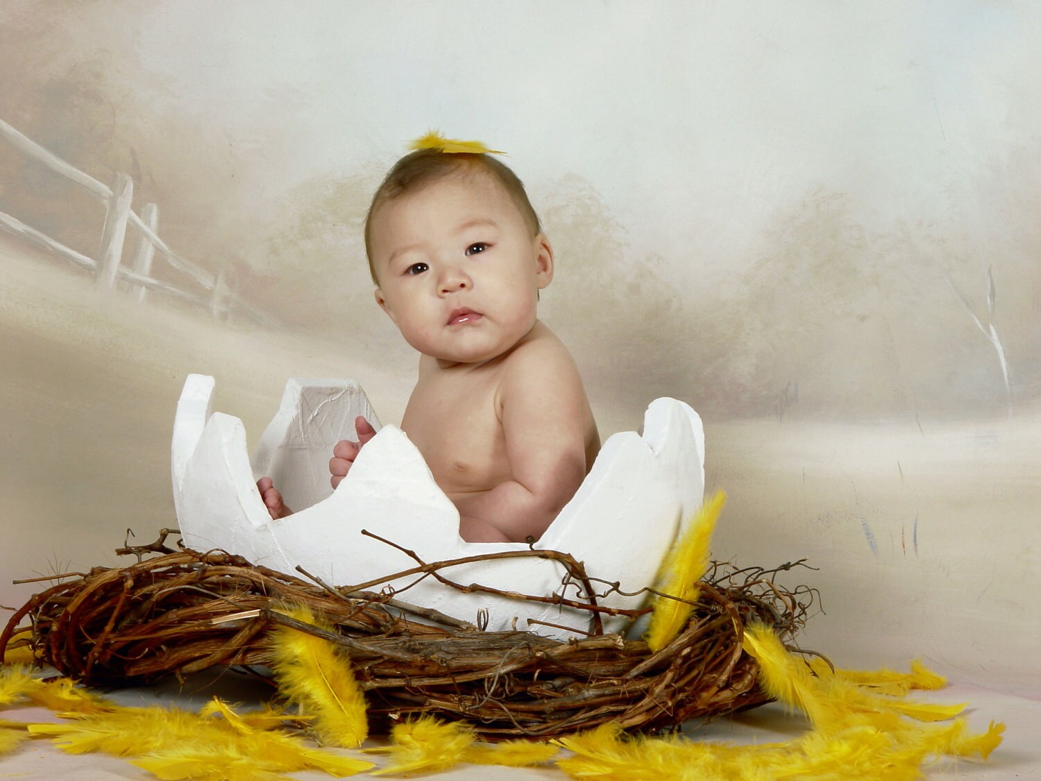 Just Hatched Cracked Egg Photography Photo Prop cracked egg Etsy