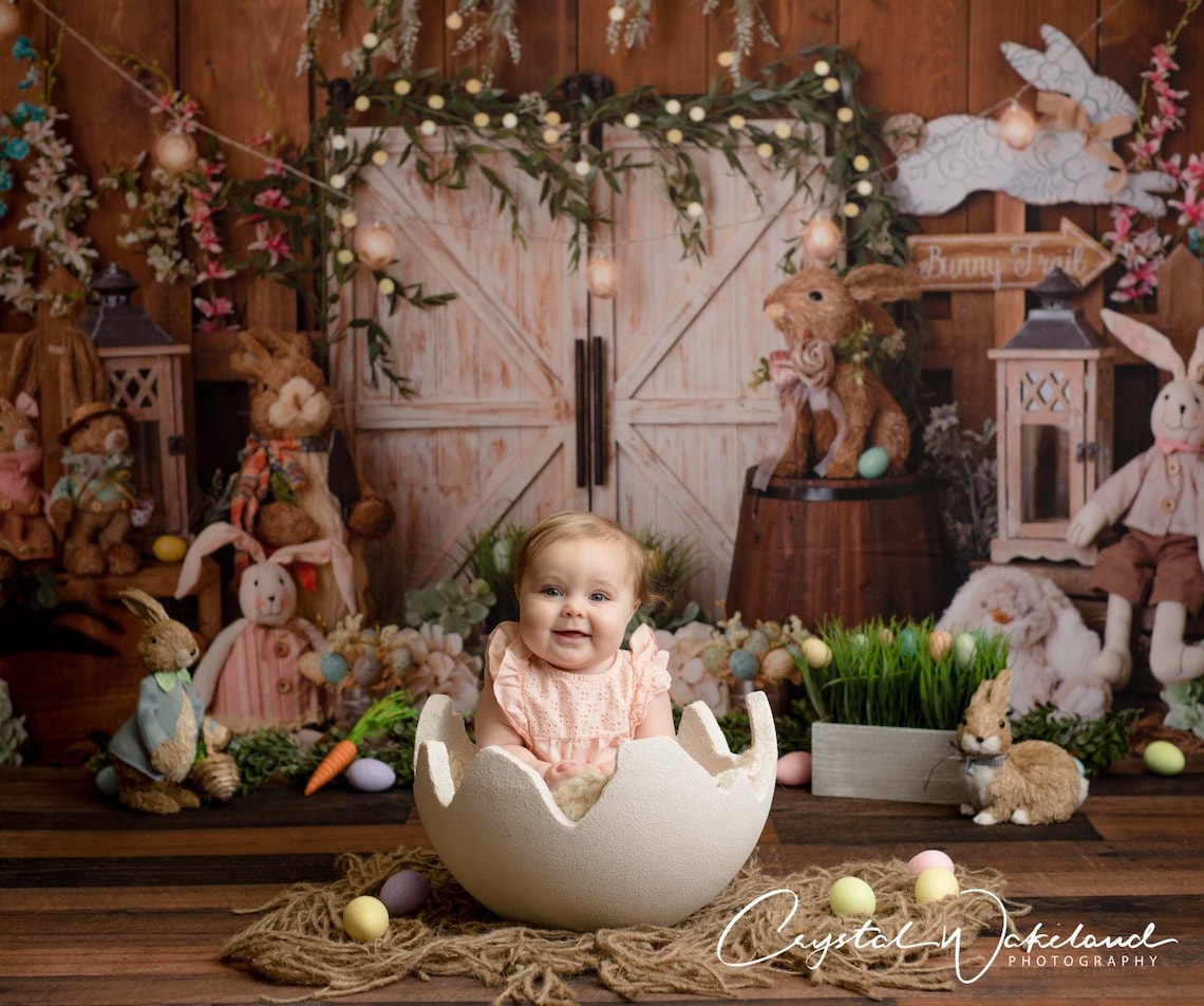 Just Hatched Cracked Egg Photography Photo Prop cracked egg Etsy