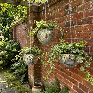 May include: Three spherical disco ball planters with reflective mirrored tiles, each suspended by silver metal chains. Each planter contains a lush green and white variegated ivy plant, creating a bright, shimmering display of foliage.