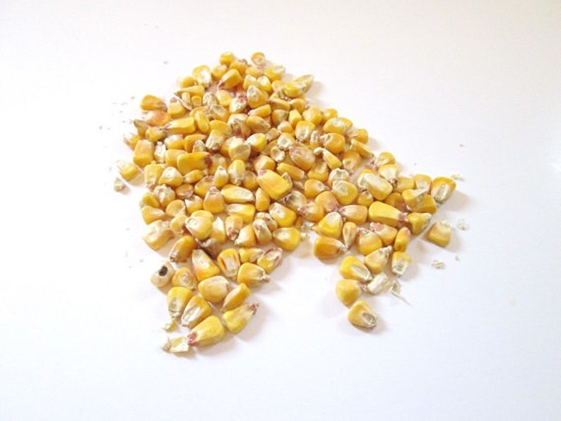 Microwavable Corn Heating Pad for Neck Shoulder and Back Etsy