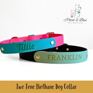 Personalized Two Tone Biothane Dog Collar; Odor and Water Resistant Dog Collar: Hot Pink/ Teal or Sage/Black with Gold Metal Hardware