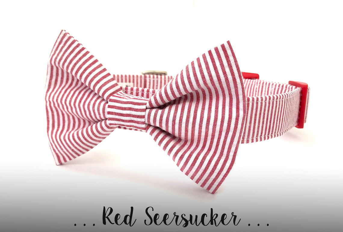 seersucker bow tie dog collar
