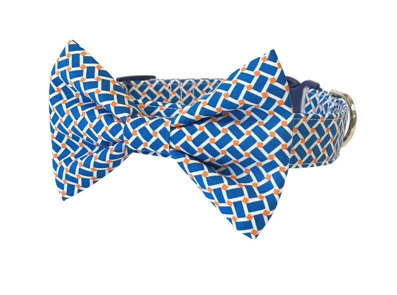 Blue and Orange Dog Collar Arbor Sunset collar Only Etsy