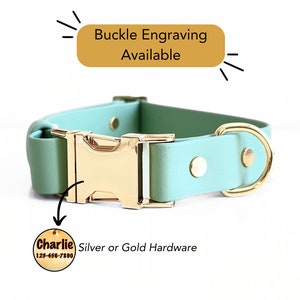 Engraved Dog Collar | Personalized Waterproof Dog Collar | Sage Green Biothane Dog Collar (Collar Only)