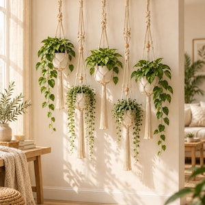 May include: A wall-mounted macrame plant hanger set featuring five off-white cotton cord hangers suspended from a horizontal wooden dowel. Each hanger holds a white ceramic pot containing a green trailing plant, accented with natural wooden beads.