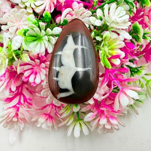 Natuurlijke septaria cabochon, 49 karaat, peervormige losse edelsteen, 41x24x5 mm, gepolijst, geschikt voor het maken van hangers met draadwikkeling, sieraden, verzamelobject.