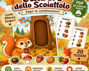 Number and Counting Activities for 3-5 Year Olds (PDF) | Educational Game with Velcro | Number and Quantity Association | Preschool