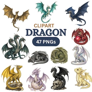 Op de afbeelding: Een verzameling drakenillustraties met diverse houdingen en kleuren, waaronder goud, groenblauw, blauw, rood, groen, zwart, paars en wit. De tekst CLIPART DRAGON 47 PNGs staat centraal tussen de draken en toont diverse mythische wezens.