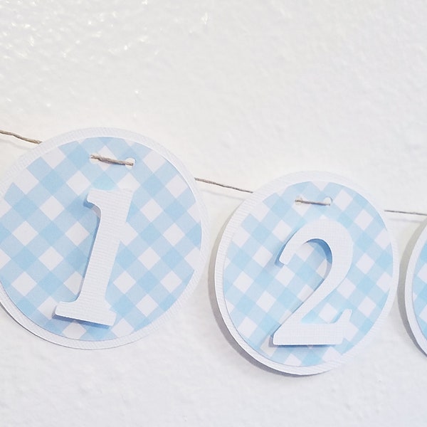 Gingham Photo Banner, first year banner, 12 month banner, photo banner, Baby Blue,Teddy Bear, Boy Photo Banner, Circle Photo Banner