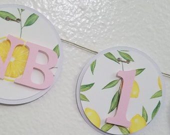 Lemon Photo Banner, first year banner, 12 month banner, photo banner, Lemonade Birthday, Lemon Birthday Circle Photo Banner