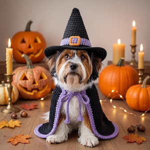 May include: A small dog wearing a black crocheted witch hat with a purple band and orange buckle, paired with a matching black and purple crocheted cape that features a tie closure at the neck and a purple border along the bottom edge.