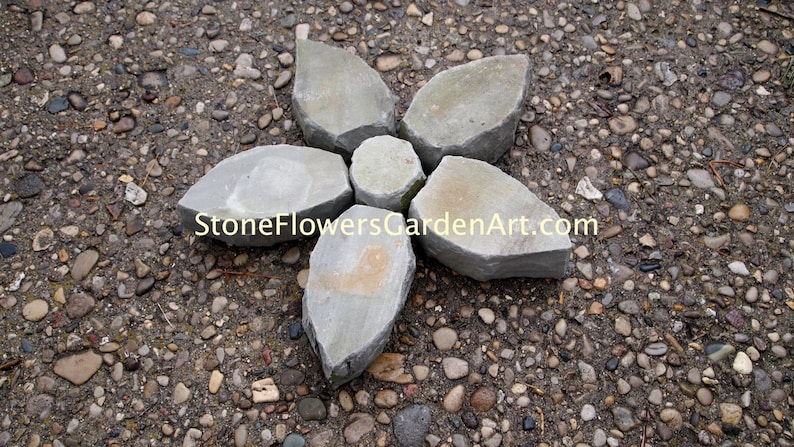 Stone Flowers Garden Art Star Flower image 2