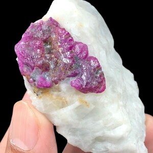 Puede incluir: Un espécimen mineral en bruto que presenta un grupo de cristales de rubí de color rosa magenta intenso y vibrante incrustados en una gran matriz de cuarzo blanco opaco. La sección de rubí muestra una textura cristalina facetada con inclusiones.