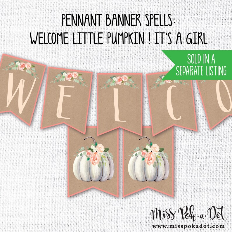 Little Pumpkin Diaper Raffle Ticket Printable Fall Baby - Etsy